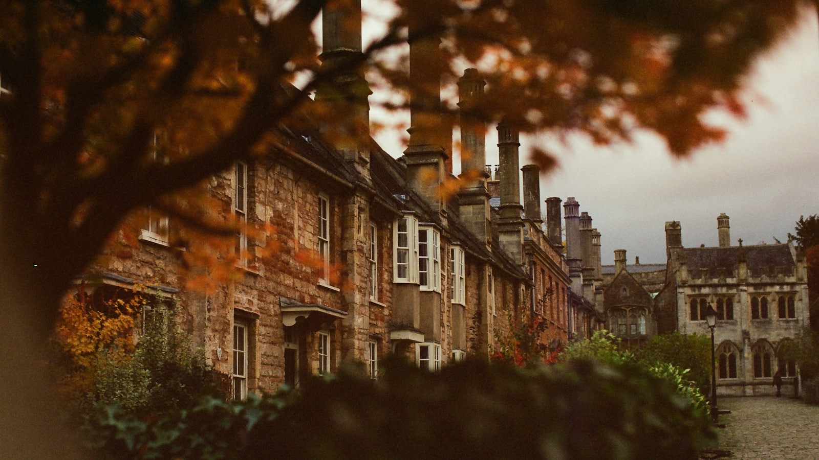 A row of brick houses on a quiet street in autumn